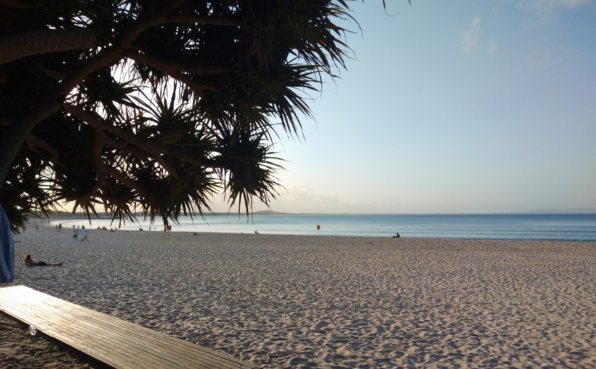 seo noosa local